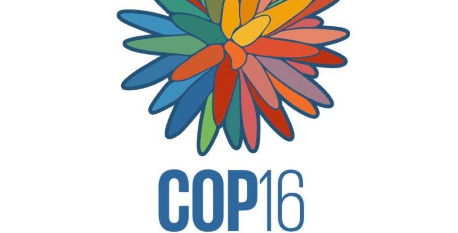 Fin de la COP16 à Cali, échec des négociations sur le financement de la protection de la nature
