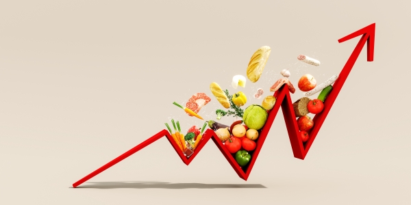 Inflation : voici six graphiques pour comprendre pourquoi vos courses vous coûtent de plus en plus cher