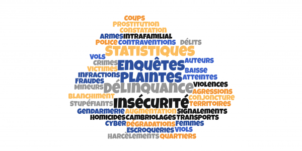 Délinquance, insécurité : quelle est la réalité des chiffres ?