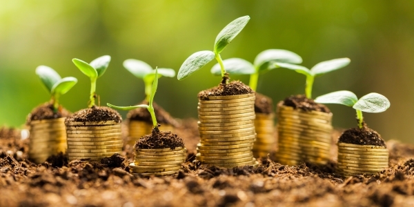 La prospérité économique ne fait pas le bonheur