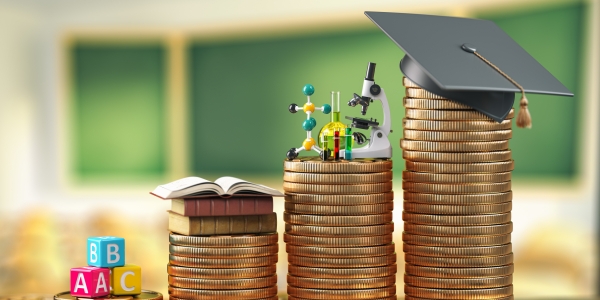 Revenus et diplômes : à quel niveau se situent les catégories sociales ?
