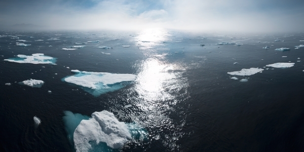 Comment lutter contre le changement climatique ?